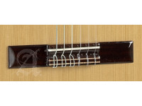 Alhambra 2C incl.Gig Bag Alhambra 2C incl.Gig Bag